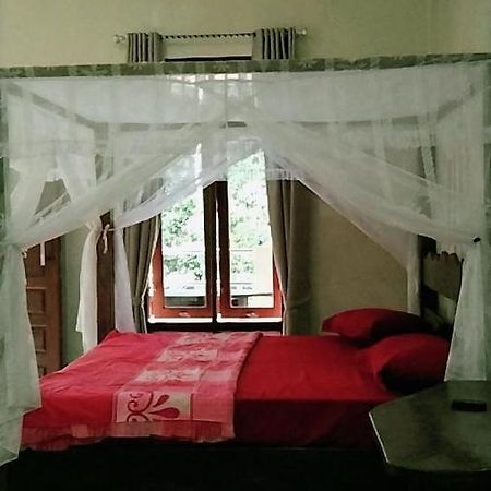 Raja Guest House - Jungle Trekking & Tours Bukit Lawang Sumatra Екстериор снимка